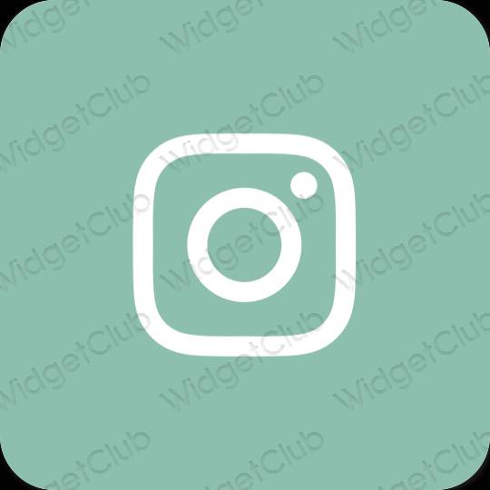 Естетичний пастельний синій Instagram значки програм