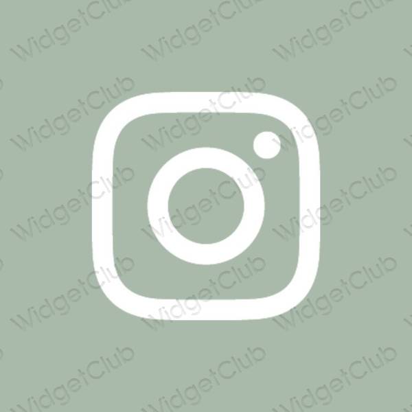 미적인 초록 Instagram 앱 아이콘