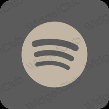 Aesthetic Spotify app icons