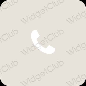 Esthétique beige Phone icônes d'application