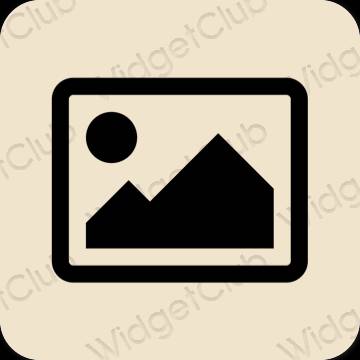 Aesthetic beige Photos app icons