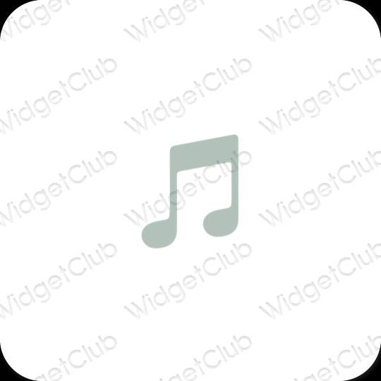 Estetske Apple Music ikone aplikacij