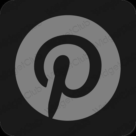 美学Pinterest 应用程序图标