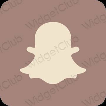 Aesthetic brown snapchat app icons