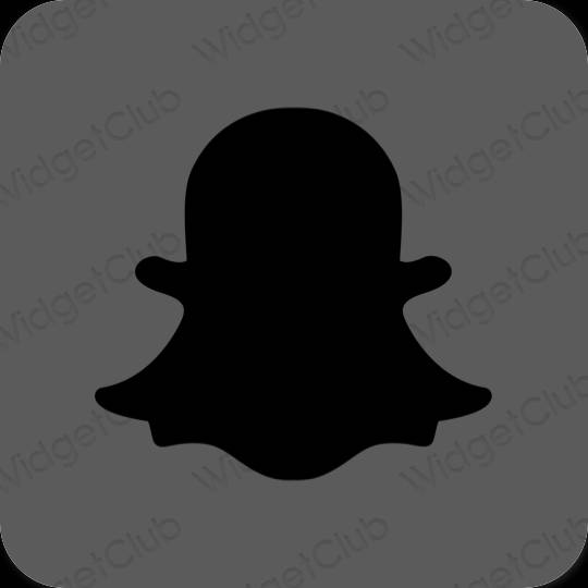 Esztétika szürke snapchat alkalmazás ikonok