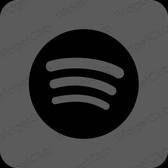 Esthétique grise Spotify icônes d'application