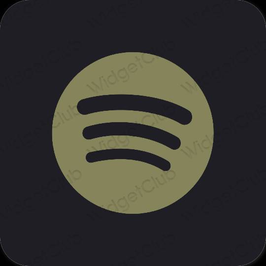 Esteetilised Spotify rakenduste ikoonid