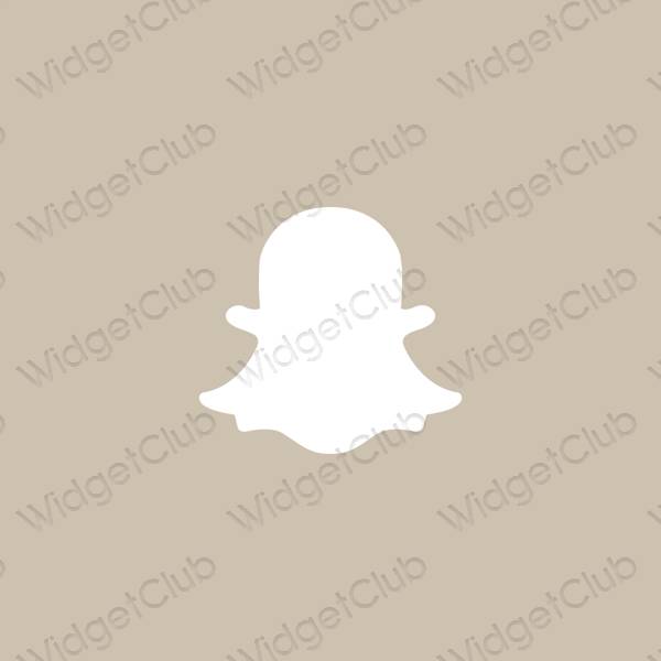 Aesthetic snapchat app icons