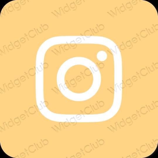 Естетичний помаранчевий Instagram значки програм
