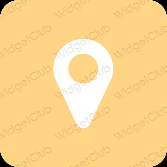 미적인 갈색 Map 앱 아이콘