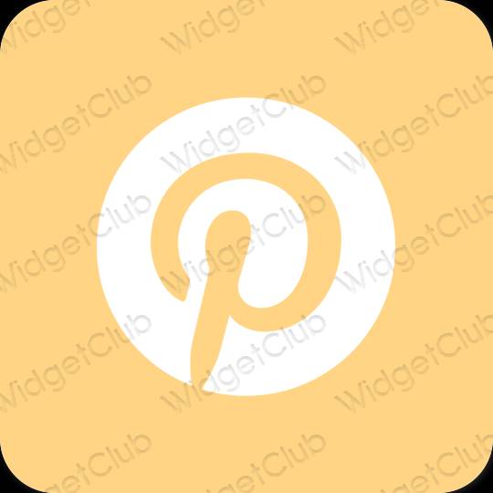 미적인 갈색 Pinterest 앱 아이콘