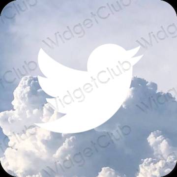 Icônes d'application Twitter esthétiques