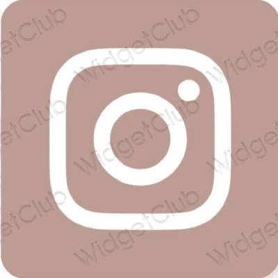Estetiska Instagram appikoner