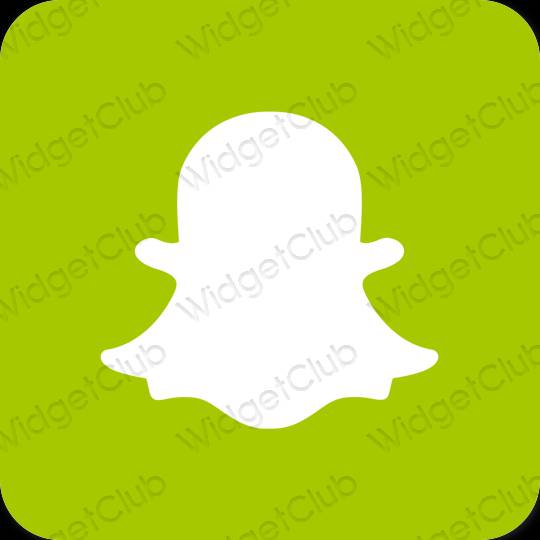 Estético verde snapchat ícones de aplicativos