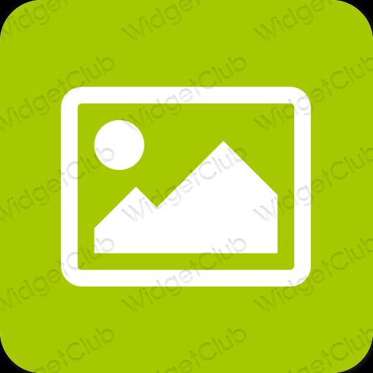 Estetický zelená Photos ikony aplikací