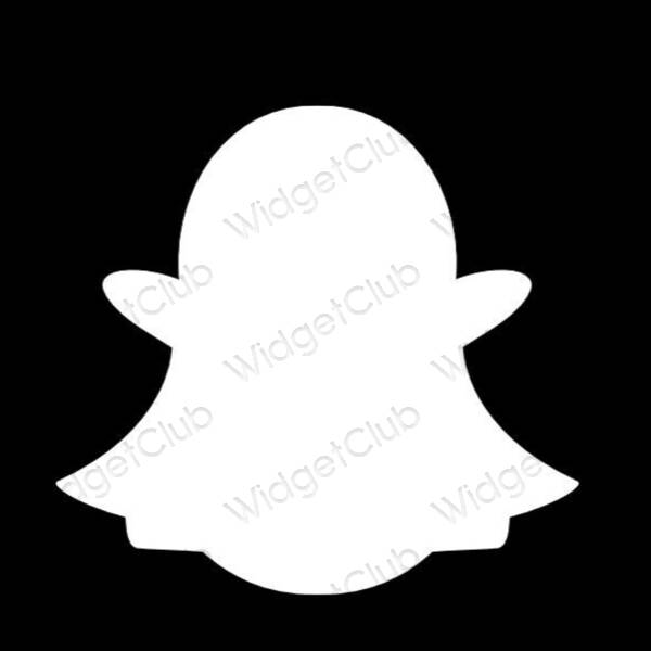 Aesthetic snapchat app icons