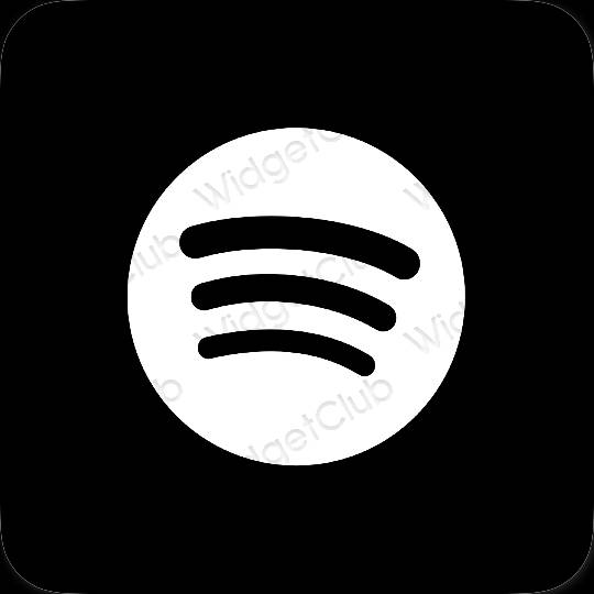 美学Spotify 应用程序图标