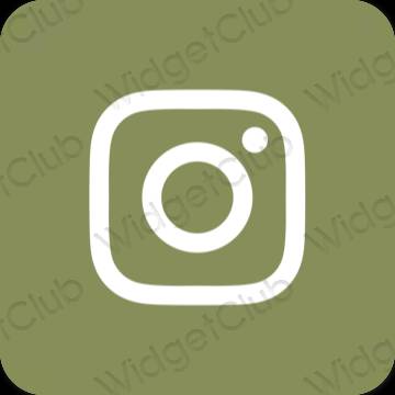 Icone delle app Instagram estetiche