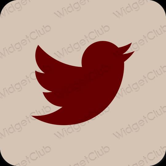 Estético beige Twitter iconos de aplicaciones