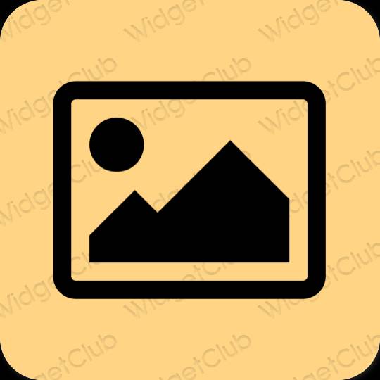 Estetické hnedá Photos ikony aplikácií