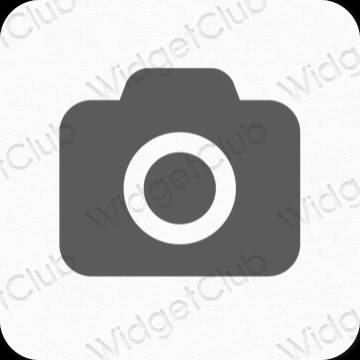 Estetico grigio Camera icone dell'app