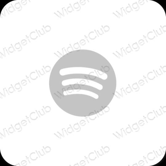 Esthetische Spotify app-pictogrammen