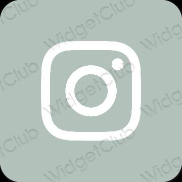 نمادهای برنامه زیباشناسی Instagram