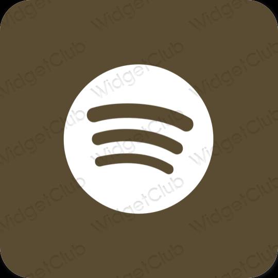 Icônes d'application Spotify esthétiques