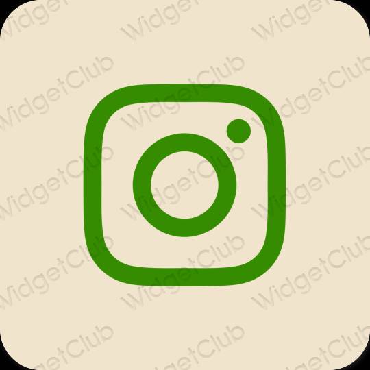 Estético beige Instagram iconos de aplicaciones