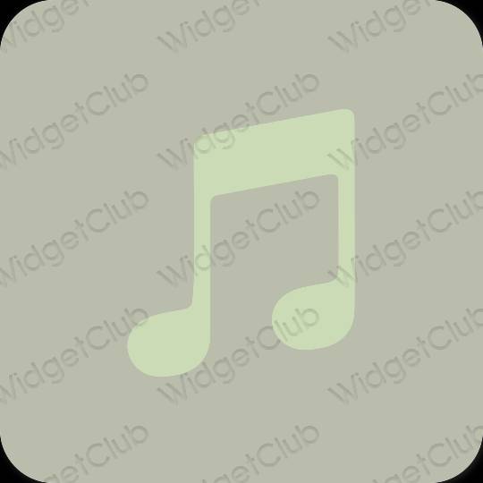 Esthetische Music app-pictogrammen