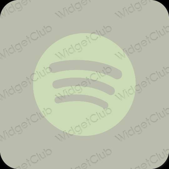 Icônes d'application Spotify esthétiques