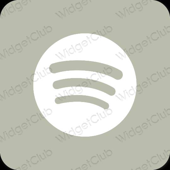 Ästhetische Spotify App-Symbole