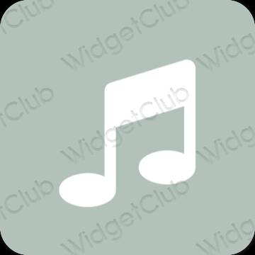 Estetsko zelena Music ikone aplikacij