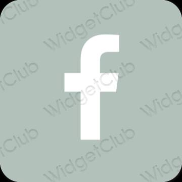 Esthétique vert Facebook icônes d'application