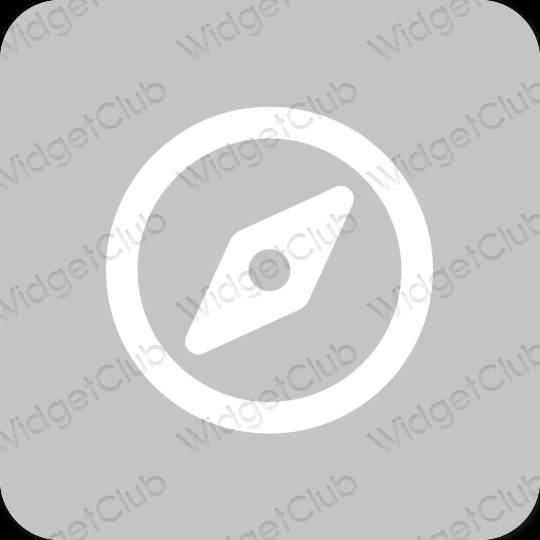 Aesthetic gray Safari app icons
