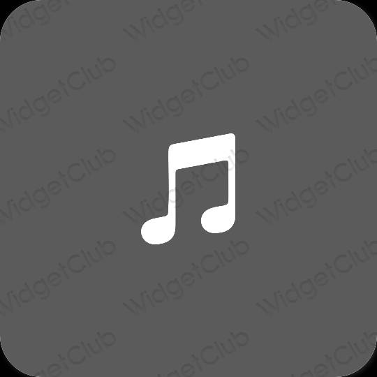 Esthétique grise Music icônes d'application