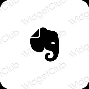 Aesthetic Evernote app icons