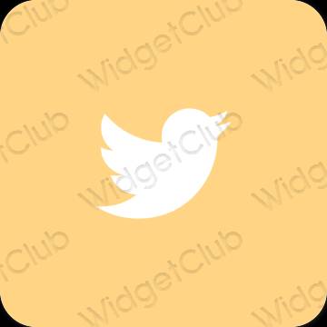 Icônes d'application Twitter esthétiques