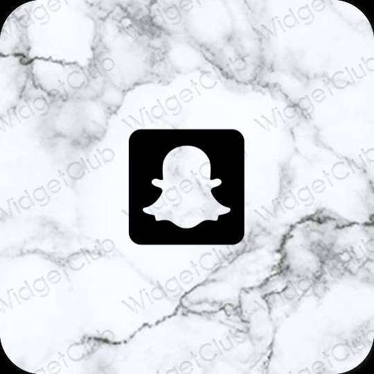 Esteetilised snapchat rakenduste ikoonid