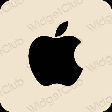 審美的 淺褐色的 Apple Store 應用程序圖標