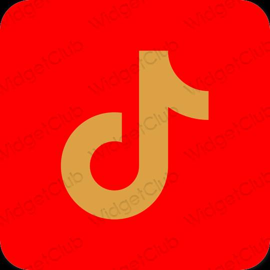 រូបតំណាងកម្មវិធី TikTok សោភ័ណភាព