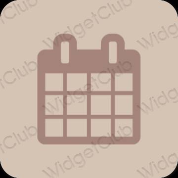 Estético beige Calendar iconos de aplicaciones