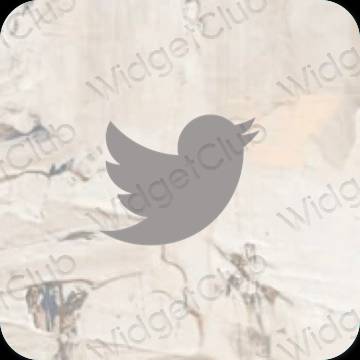 Icônes d'application Twitter esthétiques