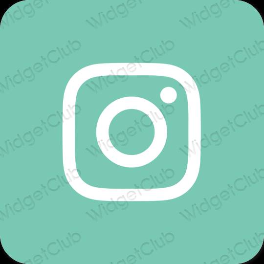 美學Instagram 應用程序圖標