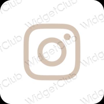 Esthetische Instagram app-pictogrammen