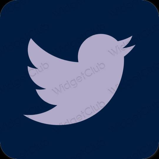 Icônes d'application Twitter esthétiques