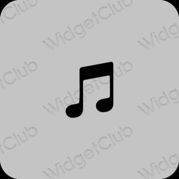 эстетический серый Apple Music значки приложений