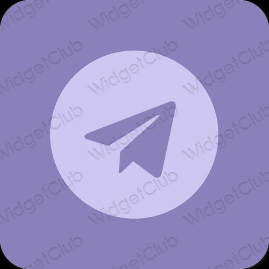 미적 Telegram 앱 아이콘