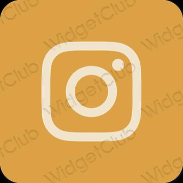 אֶסתֵטִי חום Instagram סמלי אפליקציה
