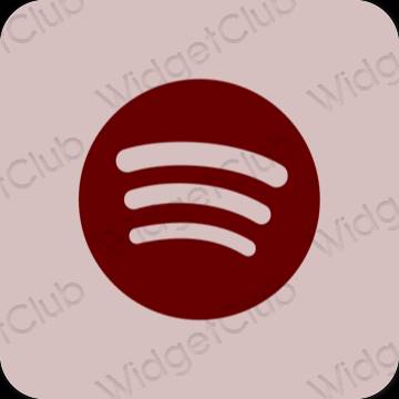 Esthetische Spotify app-pictogrammen